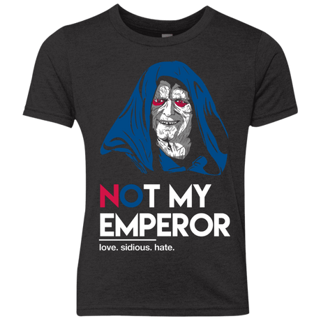T-Shirts Vintage Black / YXS Not my Emperor Youth Triblend T-Shirt