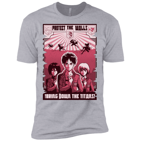 T-Shirts Heather Grey / X-Small Protect the Walls Men's Premium T-Shirt