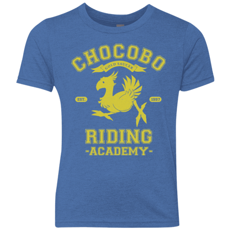 T-Shirts Vintage Royal / YXS Riding Academy Youth Triblend T-Shirt