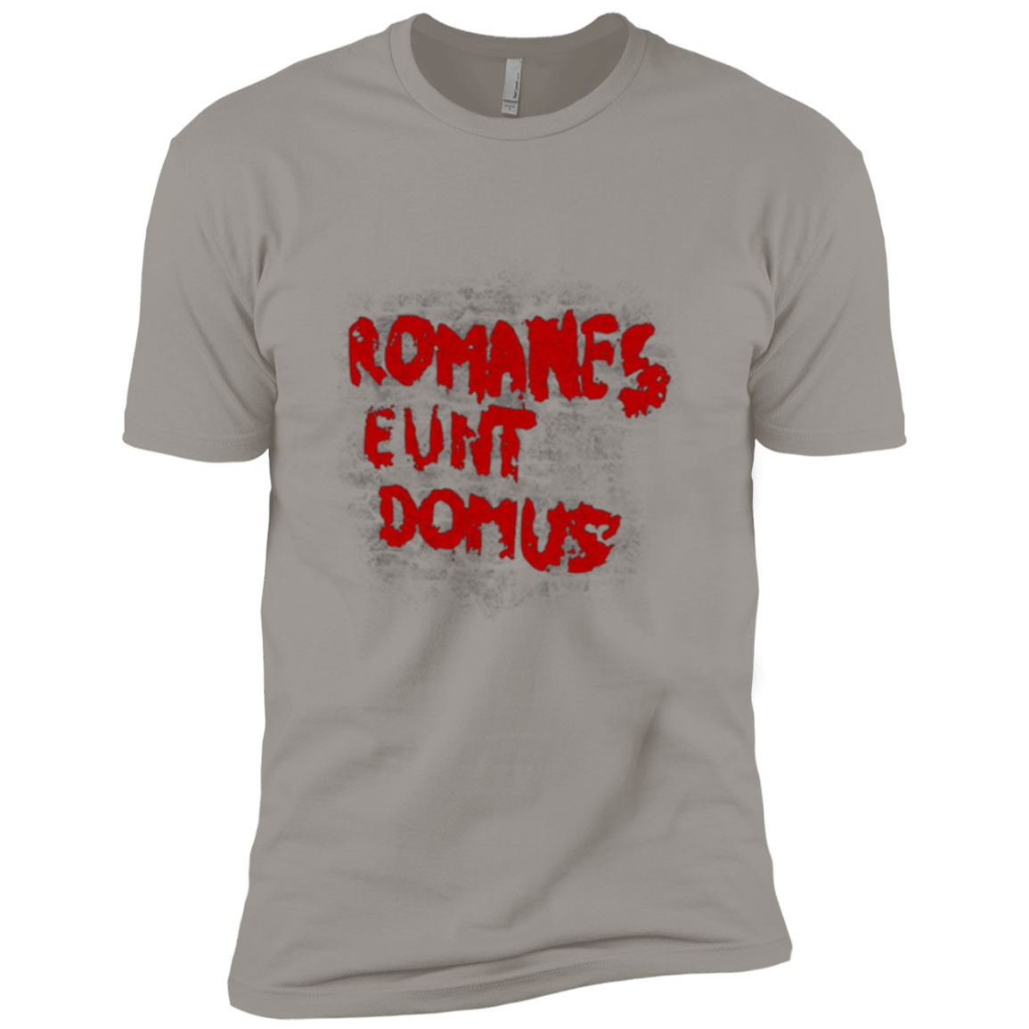 T-Shirts Light Grey / YXS Romanes eunt Boys Premium T-Shirt