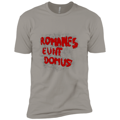 T-Shirts Light Grey / YXS Romanes eunt Boys Premium T-Shirt