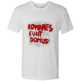 T-Shirts Heather White / Small Romanes eunt Men's Triblend T-Shirt