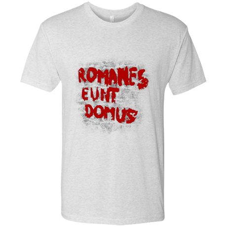 T-Shirts Heather White / Small Romanes eunt Men's Triblend T-Shirt