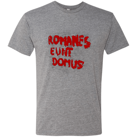 T-Shirts Premium Heather / Small Romanes eunt Men's Triblend T-Shirt