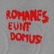 T-Shirts Romanes eunt T-Shirt