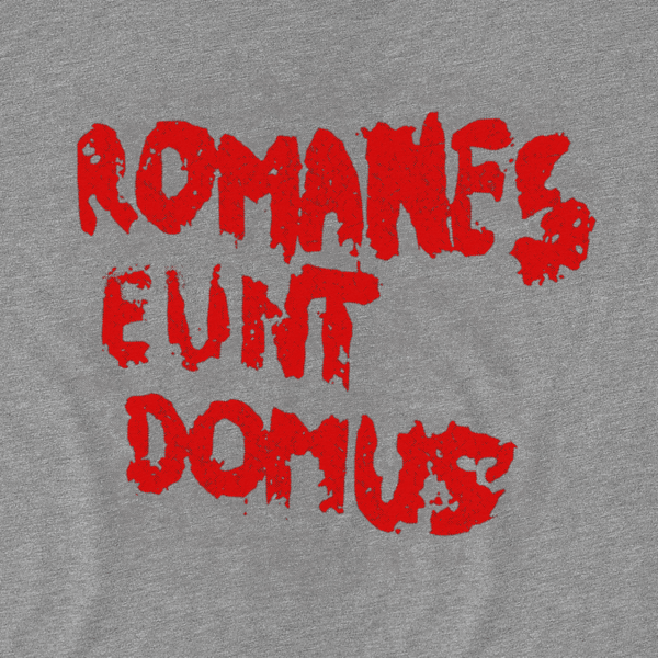 T-Shirts Romanes eunt T-Shirt