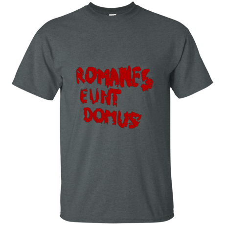 T-Shirts Dark Heather / Small Romanes eunt T-Shirt