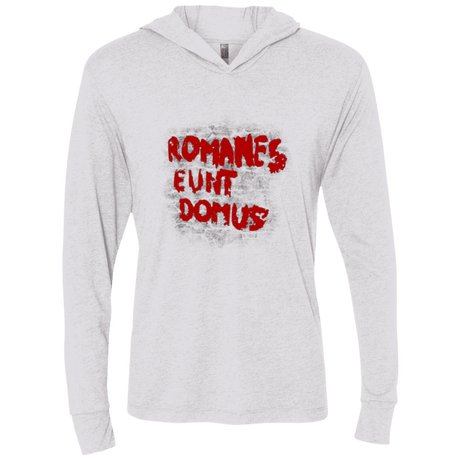 T-Shirts Heather White / X-Small Romanes eunt Triblend Long Sleeve Hoodie Tee