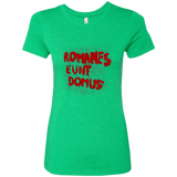 T-Shirts Envy / Small Romanes eunt Women's Triblend T-Shirt