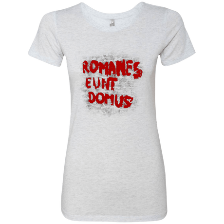 T-Shirts Heather White / Small Romanes eunt Women's Triblend T-Shirt