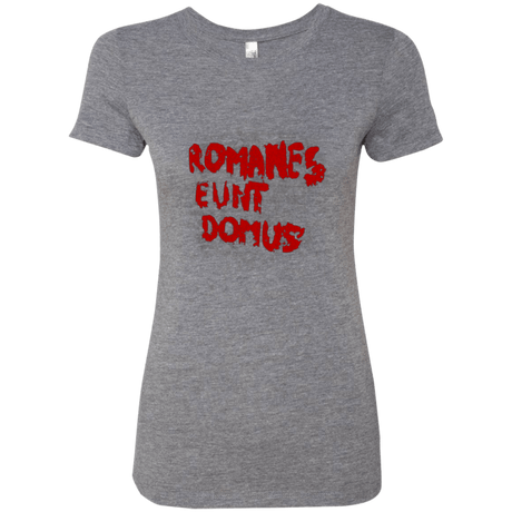 T-Shirts Premium Heather / Small Romanes eunt Women's Triblend T-Shirt