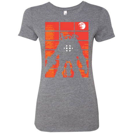 T-Shirts Premium Heather / S The Protector Women's Triblend T-Shirt
