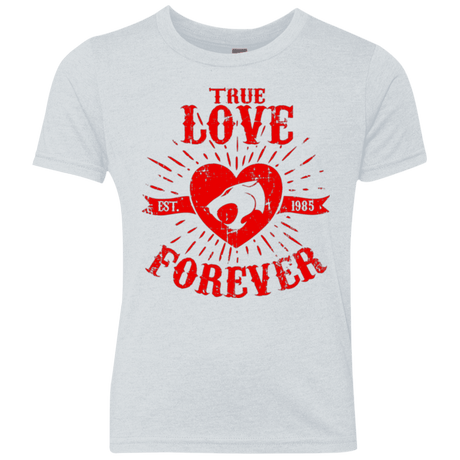 T-Shirts Heather White / YXS True Love Forever Thunder Youth Triblend T-Shirt