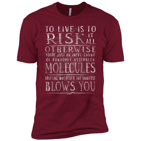 T-Shirts Cardinal / X-Small Universe Blows Men's Premium T-Shirt