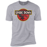 T-Shirts Heather Grey / YXS Upside Down Boys Premium T-Shirt