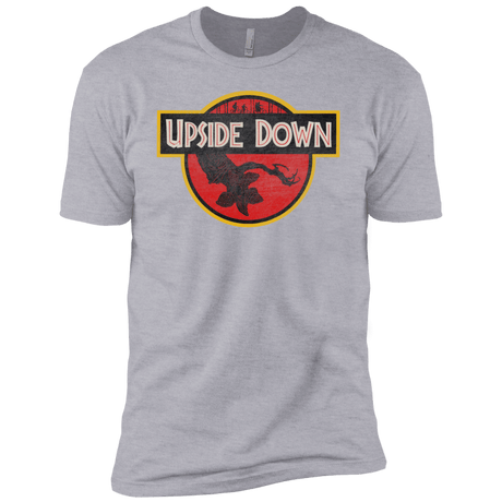 T-Shirts Heather Grey / YXS Upside Down Boys Premium T-Shirt