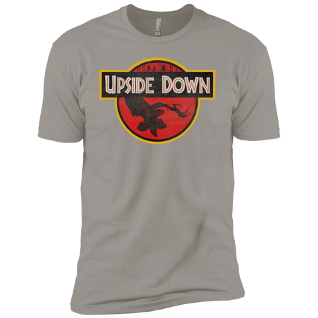 T-Shirts Light Grey / YXS Upside Down Boys Premium T-Shirt