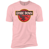 T-Shirts Light Pink / YXS Upside Down Boys Premium T-Shirt