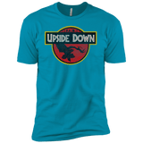 T-Shirts Turquoise / YXS Upside Down Boys Premium T-Shirt