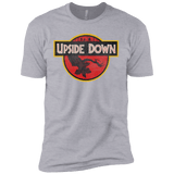 T-Shirts Heather Grey / X-Small Upside Down Men's Premium T-Shirt