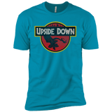 T-Shirts Turquoise / X-Small Upside Down Men's Premium T-Shirt