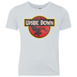T-Shirts Heather White / YXS Upside Down Youth Triblend T-Shirt