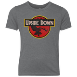T-Shirts Premium Heather / YXS Upside Down Youth Triblend T-Shirt