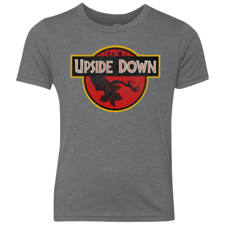 T-Shirts Premium Heather / YXS Upside Down Youth Triblend T-Shirt
