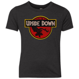 T-Shirts Vintage Black / YXS Upside Down Youth Triblend T-Shirt