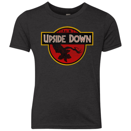 T-Shirts Vintage Black / YXS Upside Down Youth Triblend T-Shirt