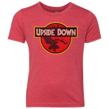 T-Shirts Vintage Red / YXS Upside Down Youth Triblend T-Shirt