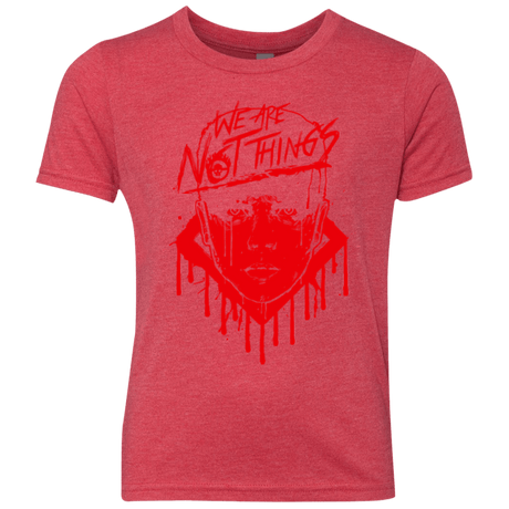 T-Shirts Vintage Red / YXS We Are Not Things Youth Triblend T-Shirt