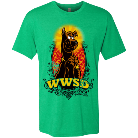 T-Shirts Envy / Small WWSD Men's Triblend T-Shirt