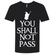 T-Shirts Black / X-Small You shall not pass Men's Premium V-Neck