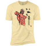 Flying for Freedom Men's Premium T-Shirt