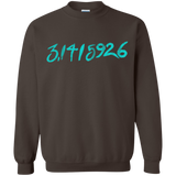 Pi Date Crewneck Sweatshirt