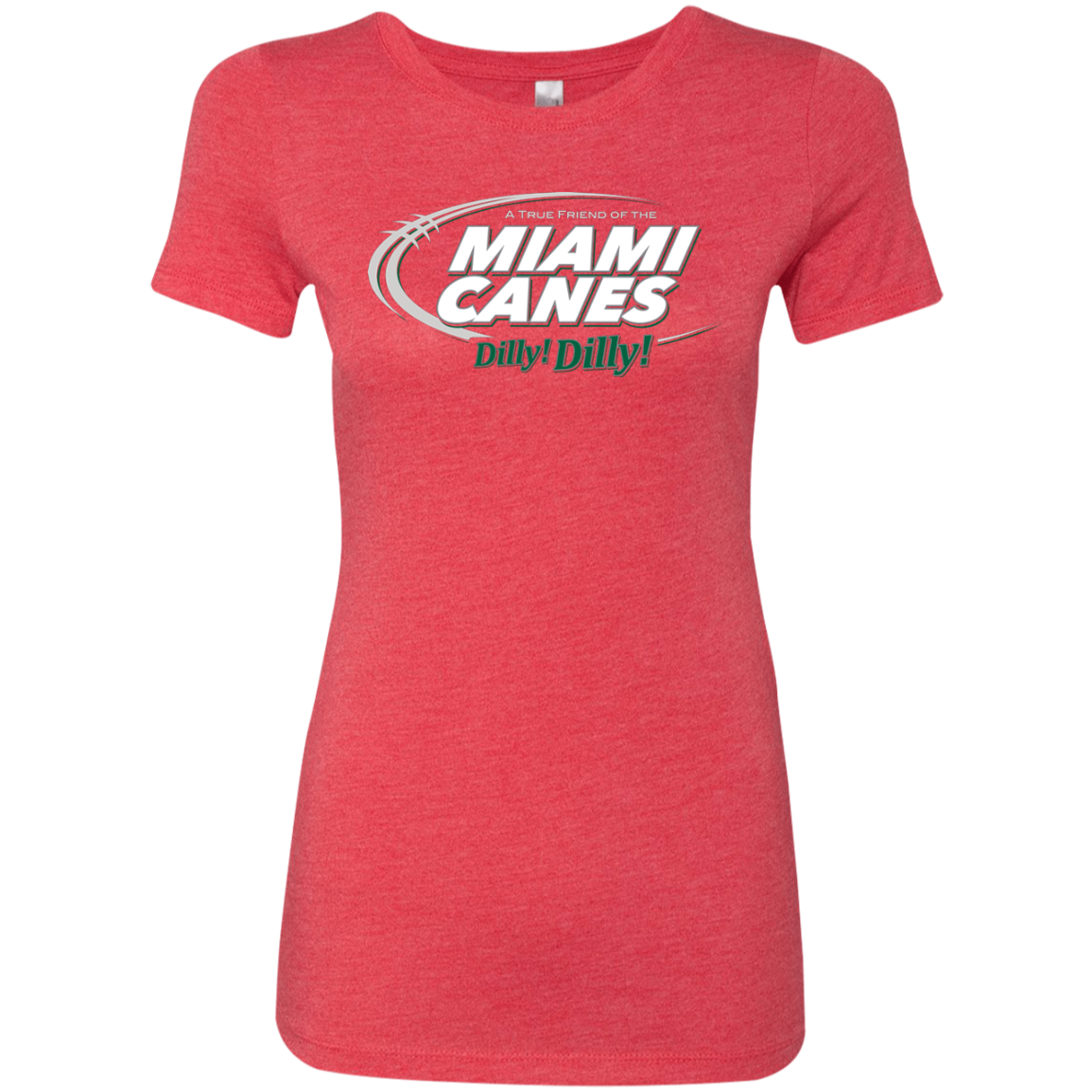 Miami Dilly Dilly Women's Triblend T-Shirt