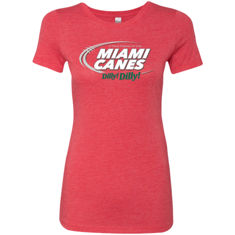 Miami Dilly Dilly Women's Triblend T-Shirt