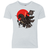 SAMURAI GALAXY Youth Triblend T-Shirt