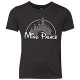 Mind Palace Youth Triblend T-Shirt