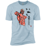 Flying for Freedom Men's Premium T-Shirt