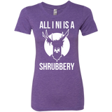 All I Ni Women's Triblend T-Shirt