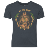 We are Groot Youth Triblend T-Shirt