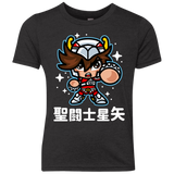 ChibiPegasus Youth Triblend T-Shirt