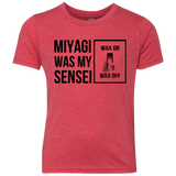 My Sensei Youth Triblend T-Shirt