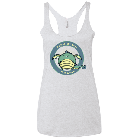 Dragons are Cute Women's Triblend Racerback Tank