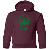 Dragonzord Power Youth Hoodie