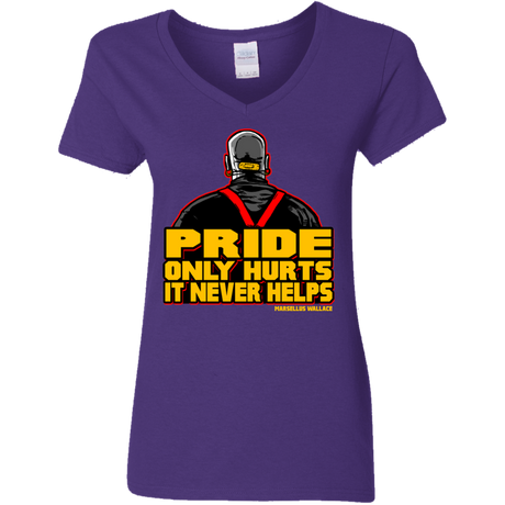 Pride Women's V-Neck T-Shirt