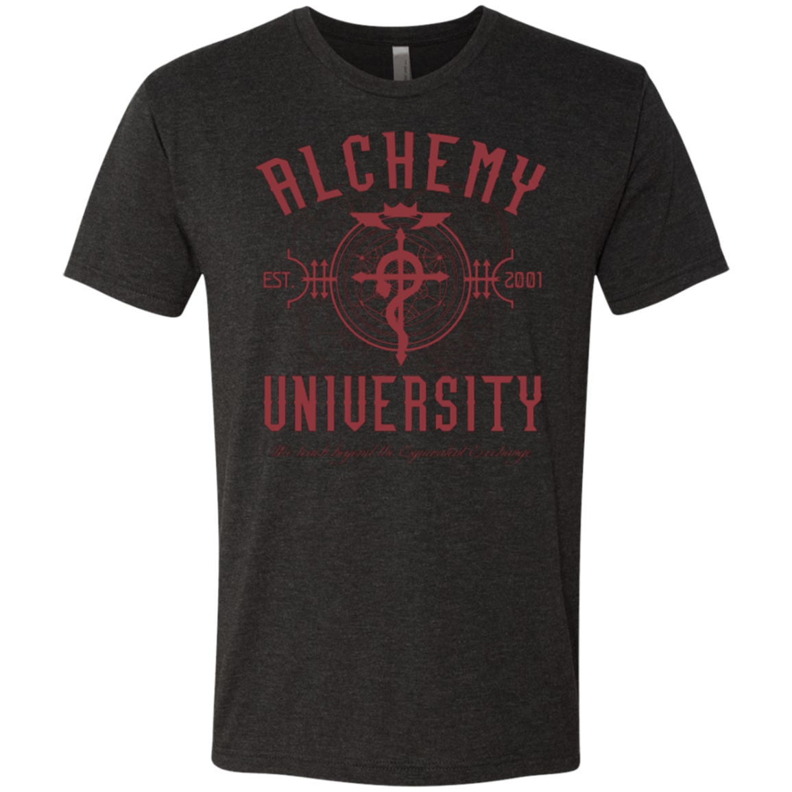 Alchemy University Men's Triblend T-Shirt