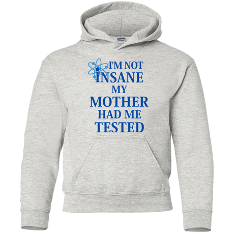 Not insane Youth Hoodie